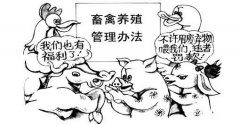 如何更好的管理食品安全？