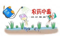 農(nóng)藥殘留速測儀助力“有機農(nóng)業(yè)”發(fā)展！