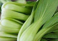如何延長農(nóng)藥殘留速測儀的使用壽命？