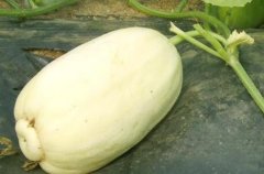 農(nóng)貿(mào)市場配備農(nóng)藥殘留檢測儀有必要嗎？