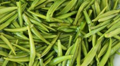 茶葉農(nóng)殘檢測(cè)與果蔬農(nóng)殘檢測(cè)有何區(qū)別？